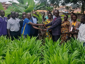 Over 40,000 oil palm seedlings were given to some members of the church