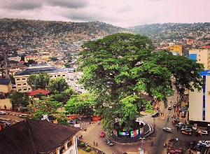 Cotton tree wey dey middle of capital Freetown