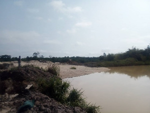 A polluted water body