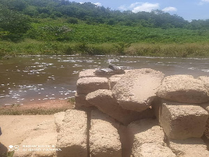 After an hour of searching, Kuma’s lifeless body was found at the same spot of the river