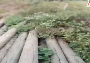 The electricity poles rotting away at Gatokrom