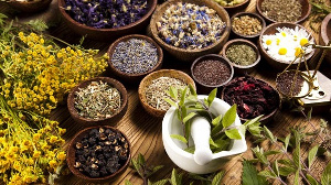 70% of Ghanaians used herbal medicines before the NHIS was initiated