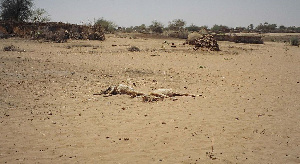 Dead animals in Tawilla, Darfur. Image via USAID/Wikimedia Commons