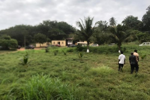 Forestry Commission was key in Ghana's June 11 National Tree Planting programme