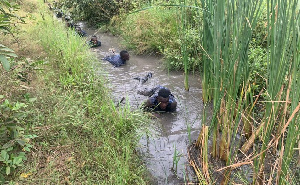 The Customs team were trained in counter-insurgency teamwork and confidence building