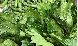 Some green leafy vegetables