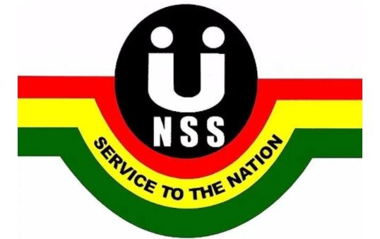 File photo - The National Service Scheme logo