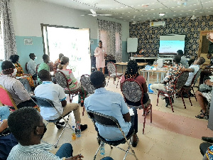 Photo of Marian Abrafi Osei at the far end making her presentation