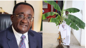 Dr Afriyie Akoto, NPP flagbearer hopeful and the plantain tree