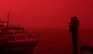 Residents in Mallacoota, Victoria, take shelter on a beach to escape a wall of flames